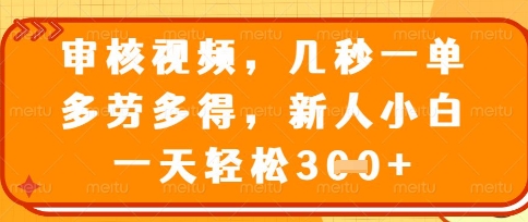 最新审核视频,几秒一单,多劳多得,新人小白一天轻松3张【揭秘】-淘金日记