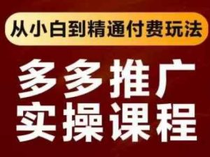 拼多多推广实操课程,从小白到精通付费玩法-淘金日记