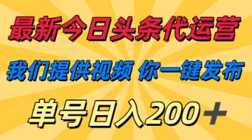 最新今日头条代运营，我们提供视频，你一键发布，单号日入200+【揭秘】-淘金日记
