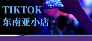 Tiktok东南亚跨境小店运营班,一门专业的TK小店运营培训课-淘金日记