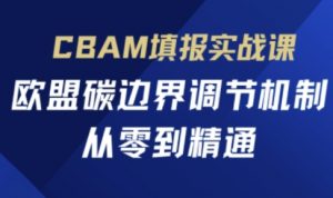 CBAM填报实战课，欧盟碳边界调节机制，从零到精通-淘金日记