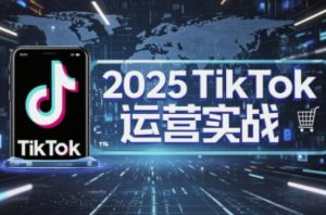 2025TikTok电商运营，掌握TikTok店铺运营核心技巧，实现低成本高转化-淘金日记