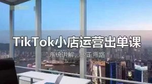 TikTok小店运营出单课，从开店选品、运营出单、发货回款，进行全流程讲解-淘金日记