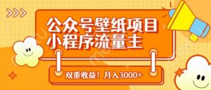 公众号壁纸项目，小程序流量主双收益，月入3000+-淘金日记