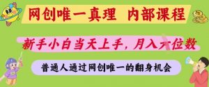 网创唯一真理，内部课程，新手小白当天上手，月入5位数，普通人通过网创唯一的机会【揭秘】-淘金日记