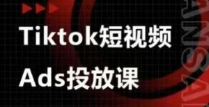 Ads视频投放课，tiktok短视频广告投放课-淘金日记