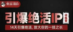 引爆绝活IP训练营,14天引爆绝活,放大你的一技之长-淘金日记