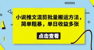 小说推文混剪批量搬运方法,简单粗暴,单日收益多张-淘金日记