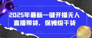 2025年最新一键开播无人直播带货，保姆级干货-淘金日记