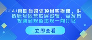 AI高阶自媒体项目实操课，讲透账号运营底层逻辑，从发布视频到规避违规一网打尽-淘金日记