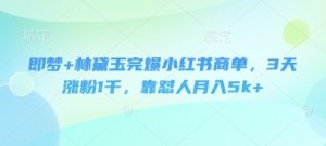 即梦+林黛玉完爆小红书商单,3天涨粉1千,靠怼人月入5k+-淘金日记