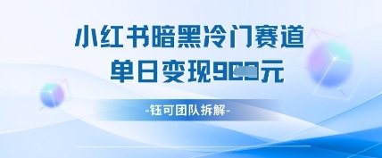 小红书冷门”暗黑”赛道，单日收益多张-淘金日记