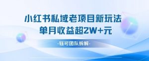 小红书私域项目新玩法,单月变现过W+-淘金日记