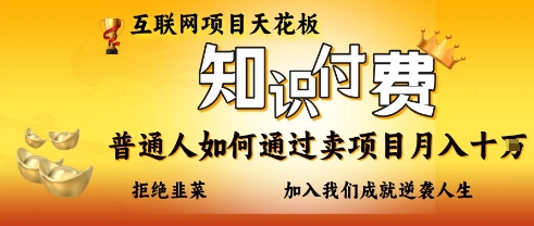 互联网项目天花板,知付付费项目,普通人如何通过卖项目月入十个,拒绝韭菜【揭秘】-淘金日记