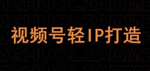 视频号线上课程,视频号轻IP打造-淘金日记