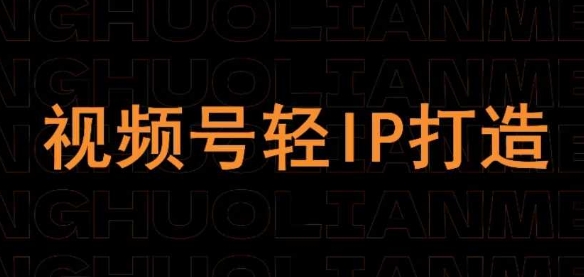 视频号线上课程，视频号轻IP打造-淘金日记