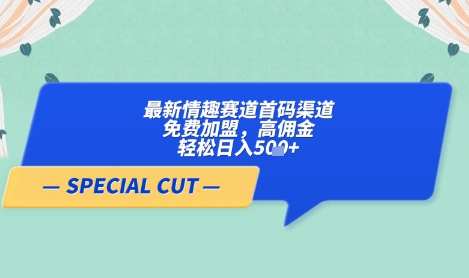 【轻云】最新情趣赛道首码渠道,免费加盟,高佣金,轻松日入5张+-淘金日记