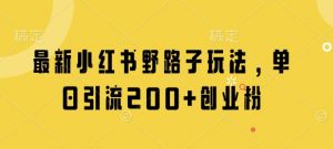 最新小红书野路子玩法，单日引流200+创业粉-淘金日记