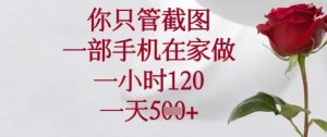 你只管截图,一部手机在家做,苹果安卓都可以,一小时120,一天5张+【揭秘】-淘金日记