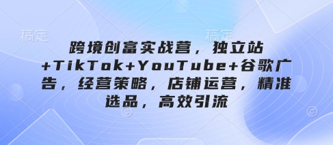 跨境创富实战营,独立站+TikTok+YouTube+谷歌广告,经营策略,店铺运营,精准选品,高效引流-淘金日记
