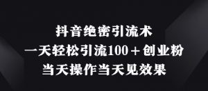 抖音绝密引流术,一天轻松引流100+创业粉,当天操作当天见效果-淘金日记