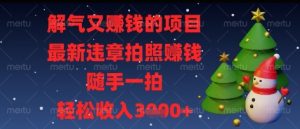 解气又挣钱的项目，最新违章拍照挣钱，随手一拍，轻松收入多张【揭秘】-淘金日记