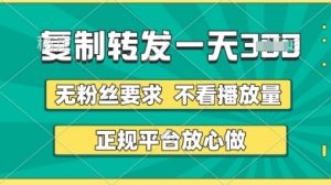 转发视频一天3张+,正规平台放心做,不看播放量,无粉丝要求,随时随地挣收益【揭秘】-淘金日记