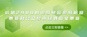 价值2980的视频号短视频橱窗带货和公众号小绿书图文带货-淘金日记