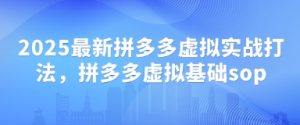 2025最新拼多多虚拟实战打法，拼多多虚拟基础sop-淘金日记