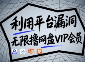 利用平台漏洞,无限撸网盘VIP会员,用户亲测有效!【漏洞原理+操作演示】-淘金日记