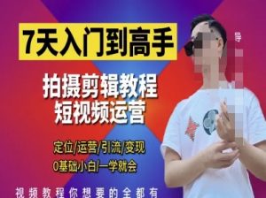 7天入门到高手,短视频剪辑运营高手课,定位 运营 引|流 变现,0基础小白一学就会-淘金日记