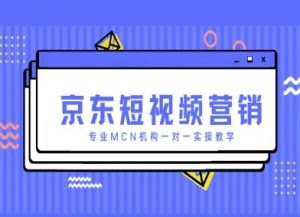 京东短视频营销项目，专业MCN机构一对一实操教学-淘金日记