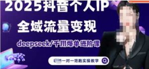 2025个人IP短视频带货(进阶版)全域流量变现，deepseek千川爆单进阶课-淘金日记