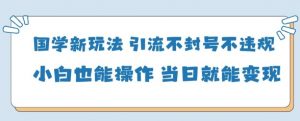 国学新玩法，引流不封号不违规小白也能操作，当日就能变现-淘金日记