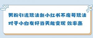 男粉引流玩法(新)，玩法友好做的好当天就能变现-淘金日记