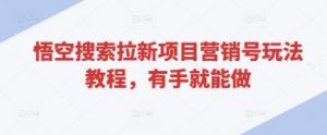 悟空搜索拉新项目营销号玩法教程，有手就能做-淘金日记