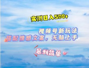 微信视频号最新玩法，表情包搭配情感文案，2分钟一条原创作品，简单好上手，轻松日入几张-淘金日记
