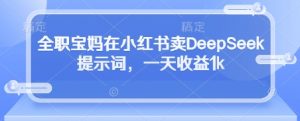 全职宝妈在小红书卖DeepSeek提示词,一天收益1k-淘金日记