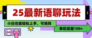 25年最新语聊玩法,纯手工,单机收益100+,小白也能轻松上手,可矩阵操作-淘金日记