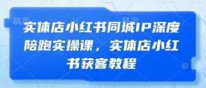 实体店小红书同城IP深度陪跑实操课,实体店小红书获客教程-淘金日记