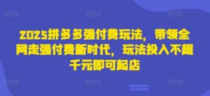 2025拼多多强付费玩法,带领全网走强付费新时代,玩法投入不超千元即可起店-淘金日记