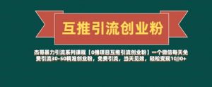 【0撸项目互推引流创业粉】一个微信每天免费引流30-50精准创业粉,免费引流,当天见效,轻松变现几张-淘金日记
