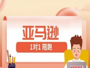 亚马逊1对1陪跑课(FBA/FBM精铺)跨境亚马逊教程-淘金日记