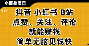 小而美的项目,抖音小红书B站视频点赞、关注、评论就能挣钱,简单无脑立见收益,妥妥的零撸项目【揭秘】-淘金日记