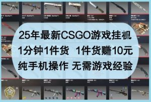 25年最新CSGO游戏挂G，1分钟1件货，1件货挣10元，纯手机操作，无需游戏经验【揭秘】-淘金日记