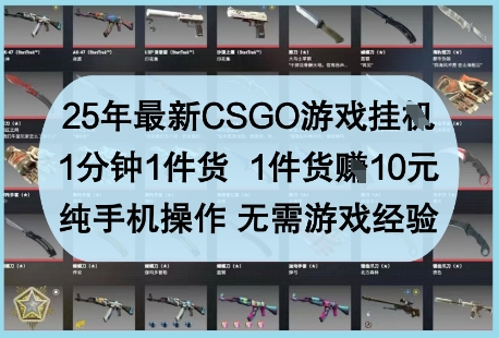 25年最新CSGO游戏挂G,1分钟1件货,1件货挣10元,纯手机操作,无需游戏经验【揭秘】-淘金日记