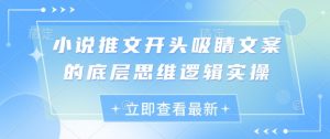小说推文开头吸睛文案的底层思维逻辑实操-淘金日记