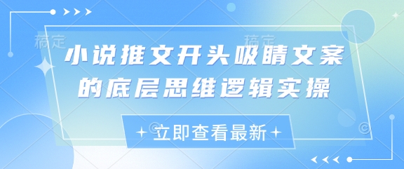 小说推文开头吸睛文案的底层思维逻辑实操-淘金日记