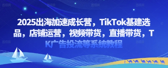 2025出海加速成长营，TikTok基建选品，店铺运营，视频带货，直播带货，TK广告投流等系统教程-淘金日记