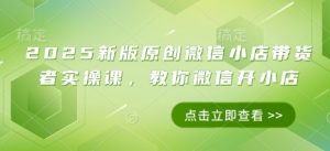 2025新版原创微信小店带货者实操课,教你微信开小店-淘金日记